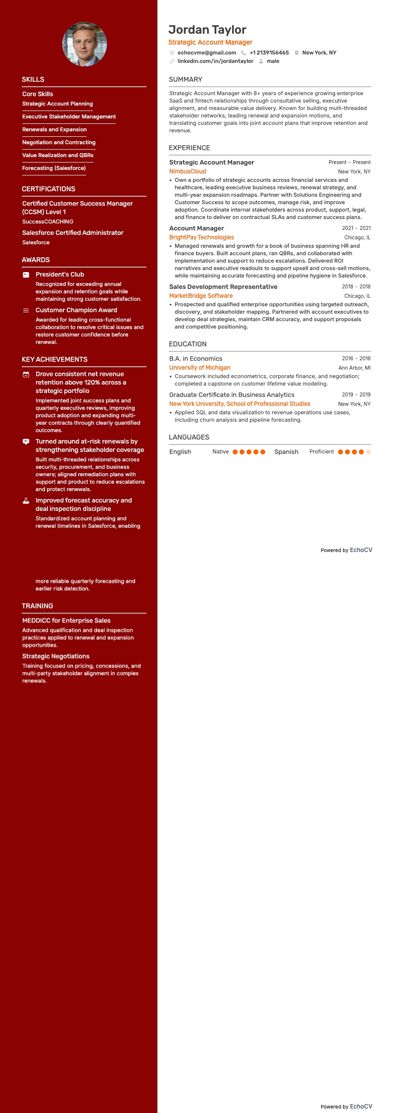 Strategic Account Manager example resume