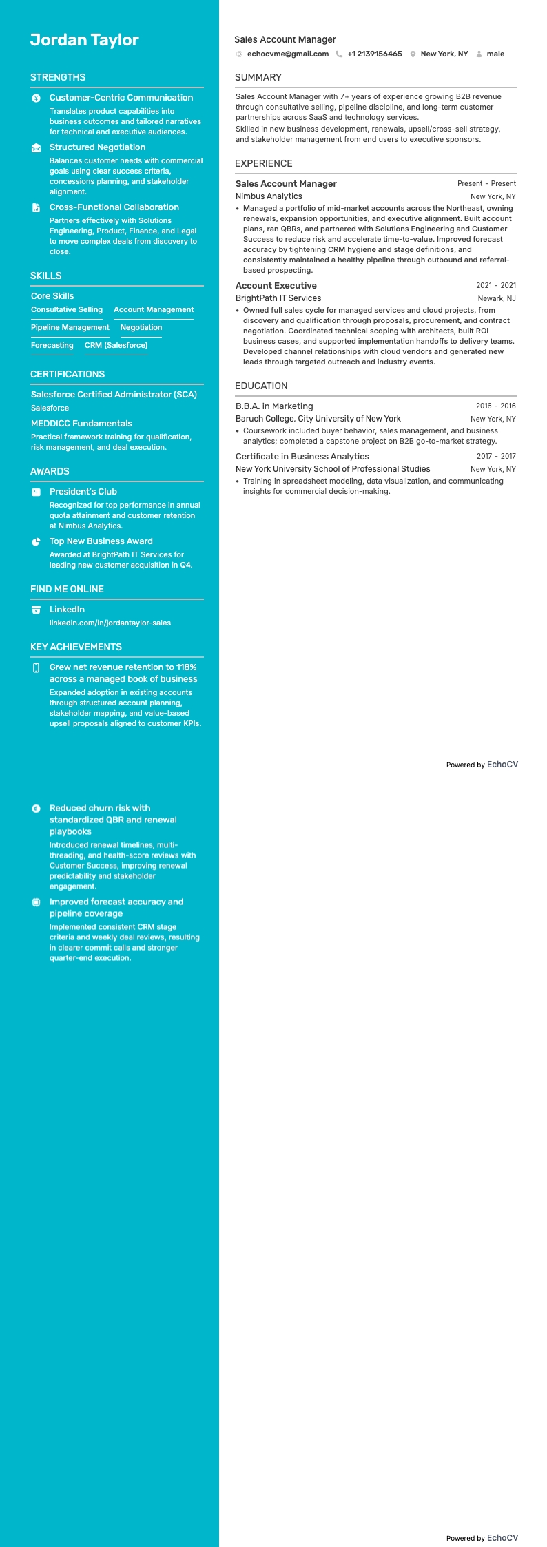 Sales Account Manager example resume