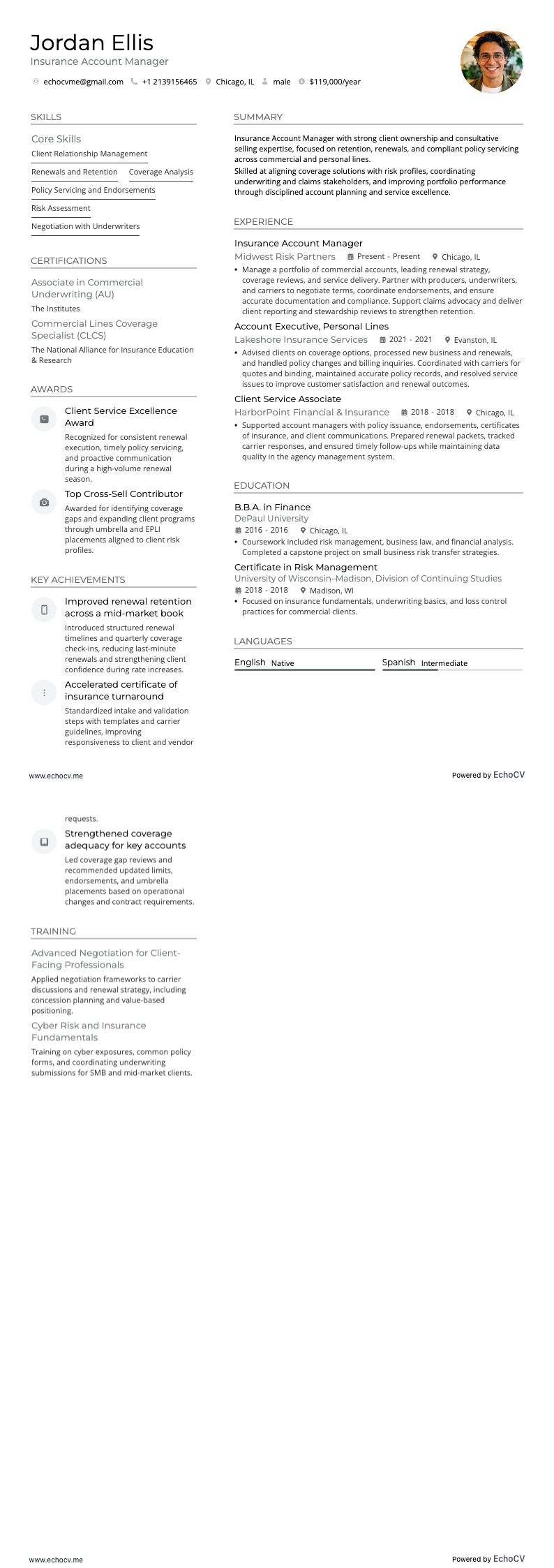 Insurance Account Manager example resume