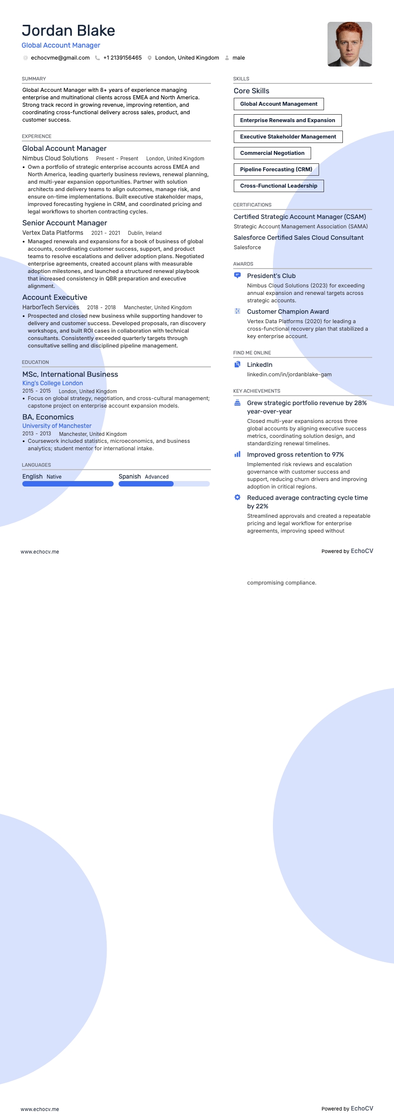 Global Account Manager example resume