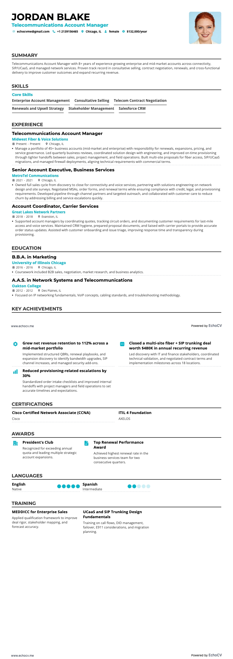 Telecommunications Account Manager example resume