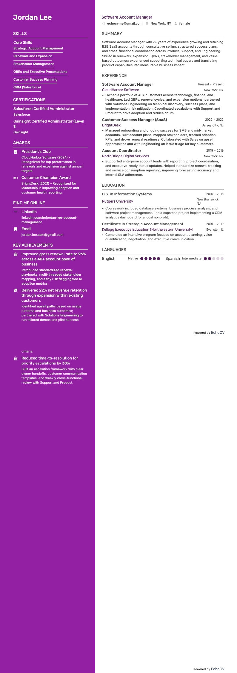 Software Account Manager example resume