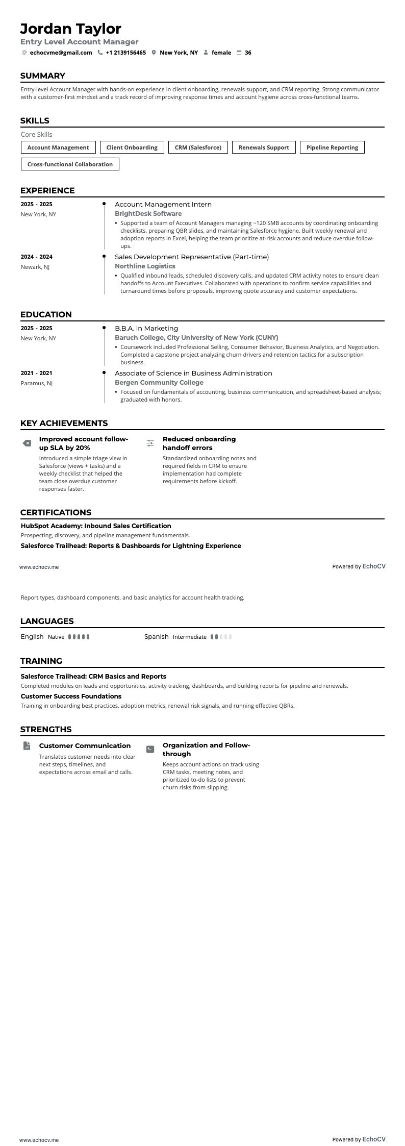 Entry level Account Manager example resume