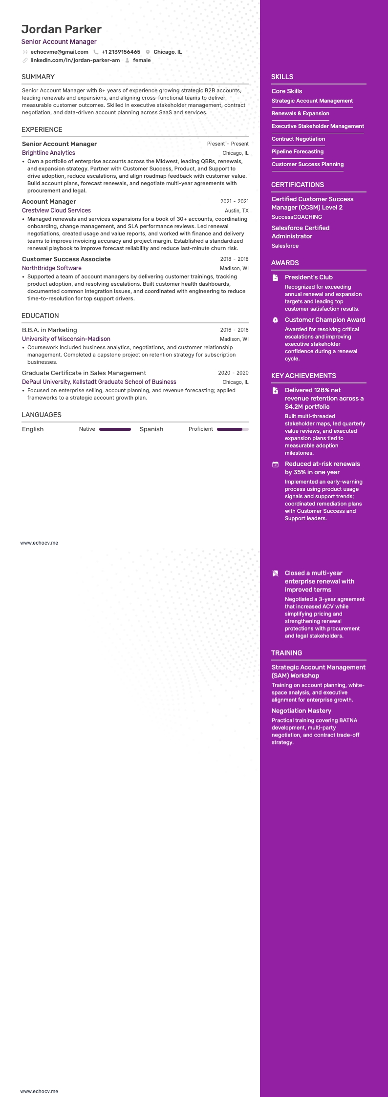 Senior Account Manager example resume