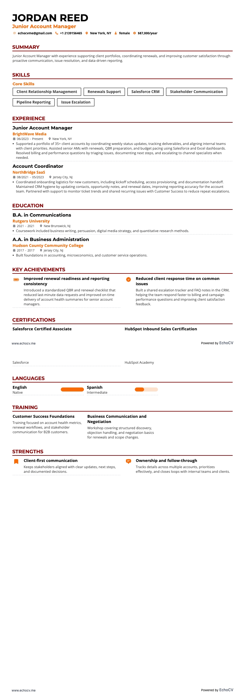 Junior Account Manager full preview