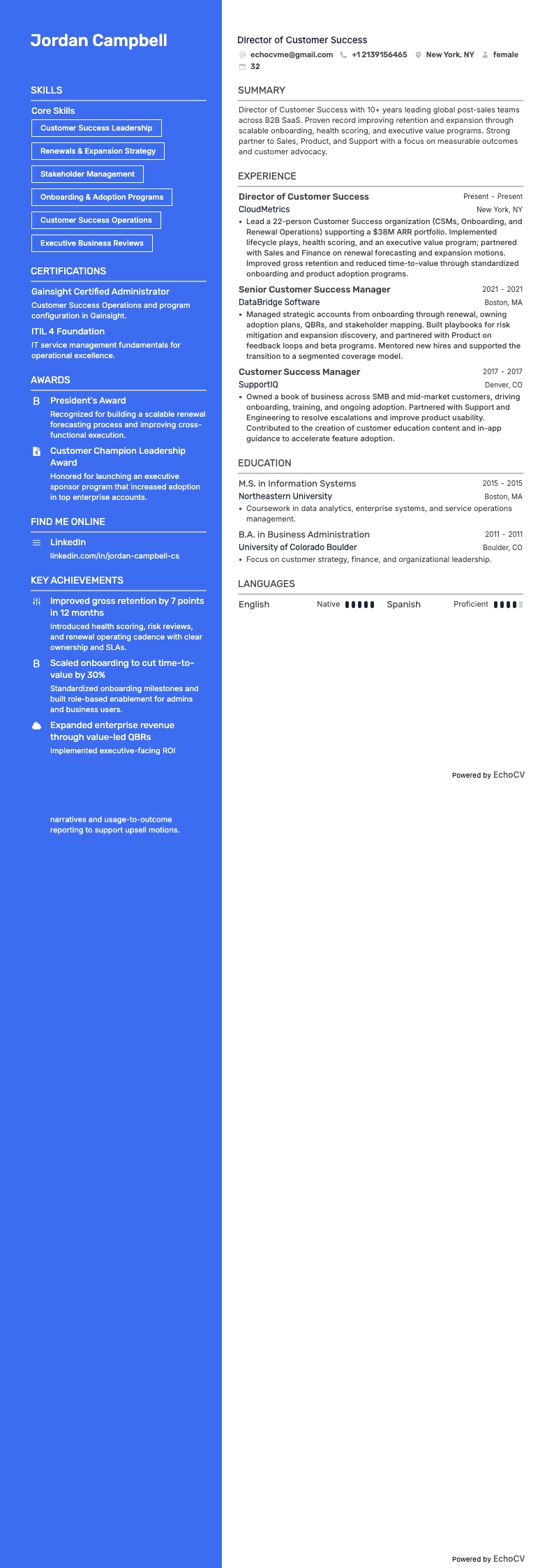 Director Of Customer Success example resume