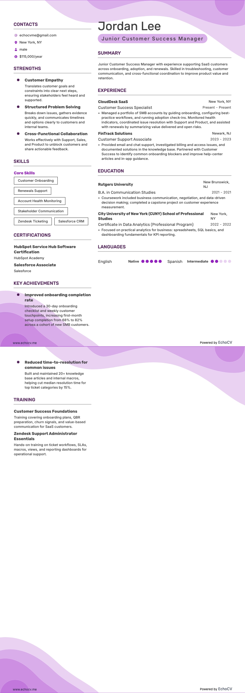 Junior Customer Success Manager example resume