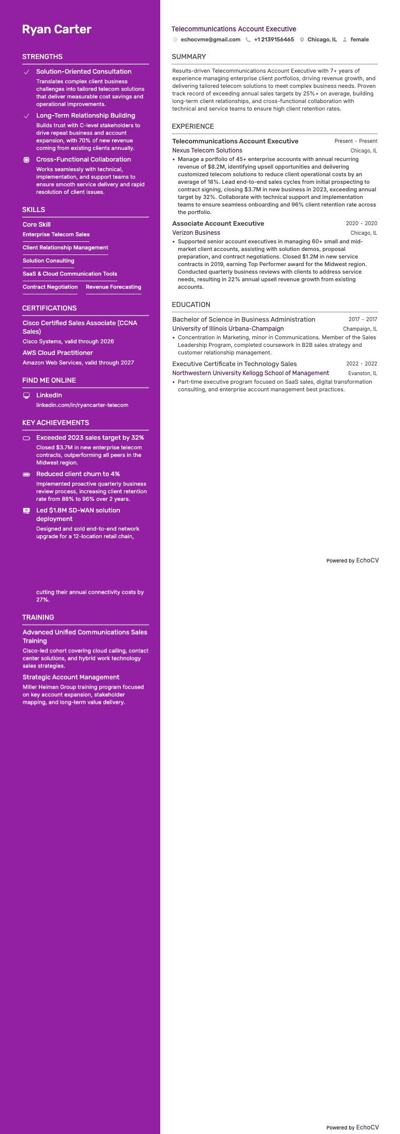 Account Executive Telekommunikation example resume