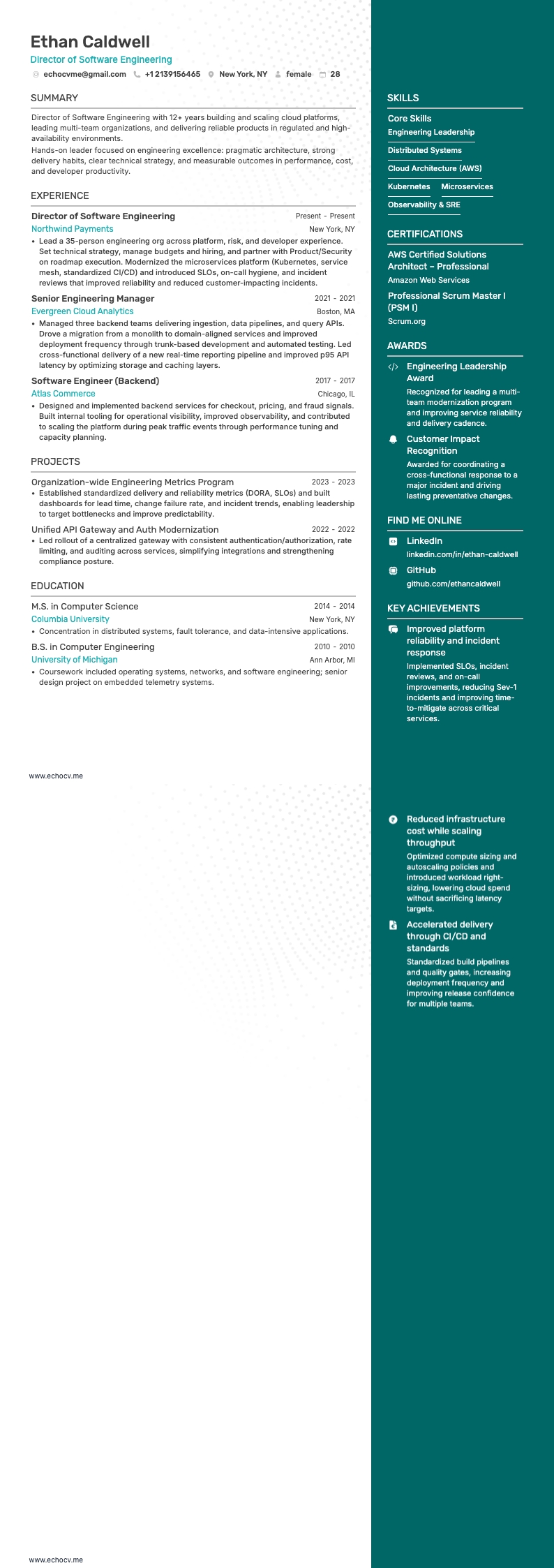 Director Of Software Engineering example resume