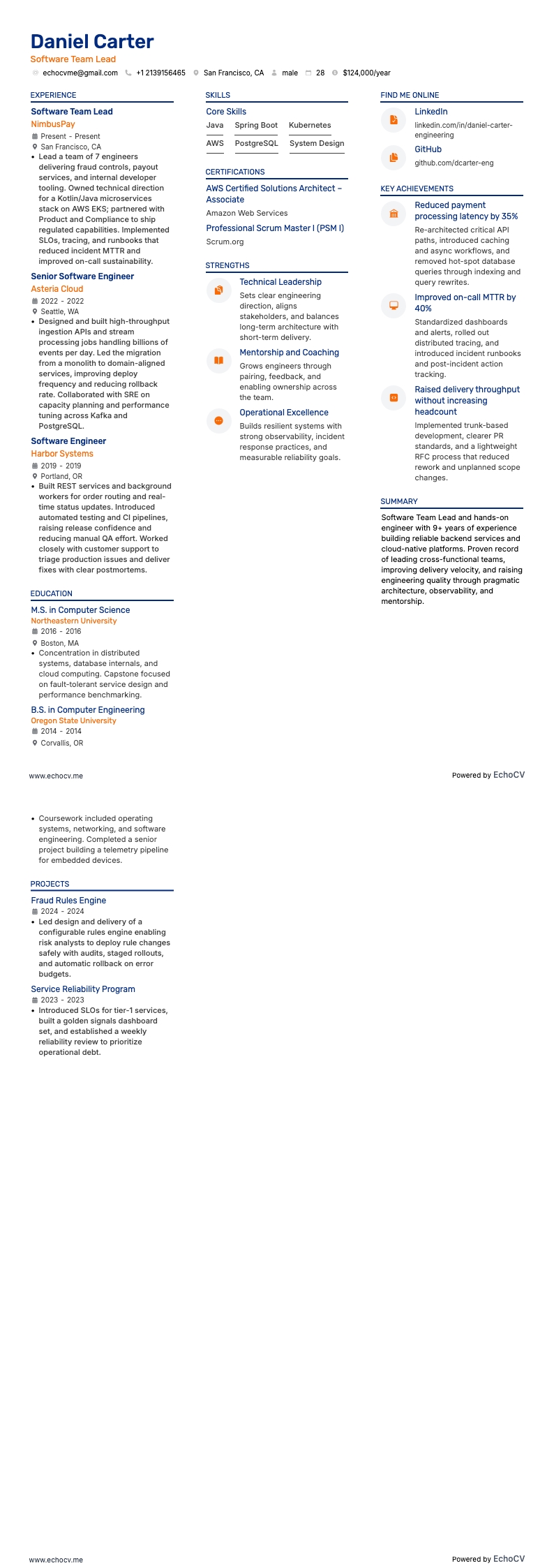 Software Team Lead example resume