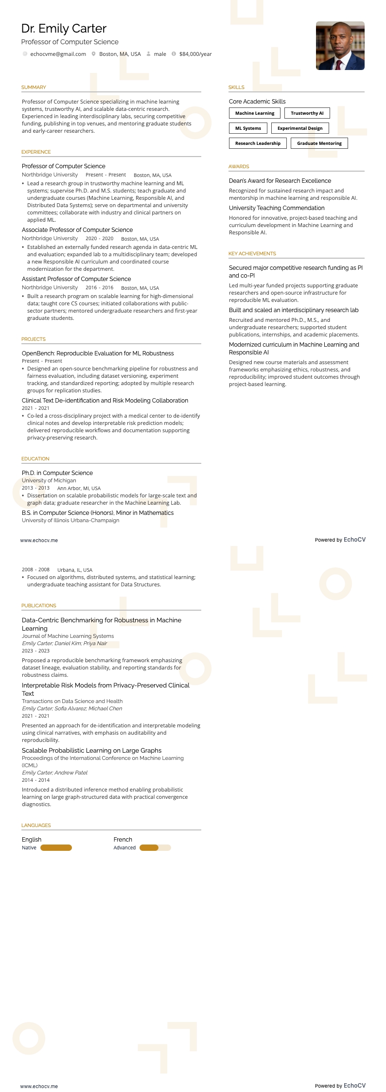 Professor example resume
