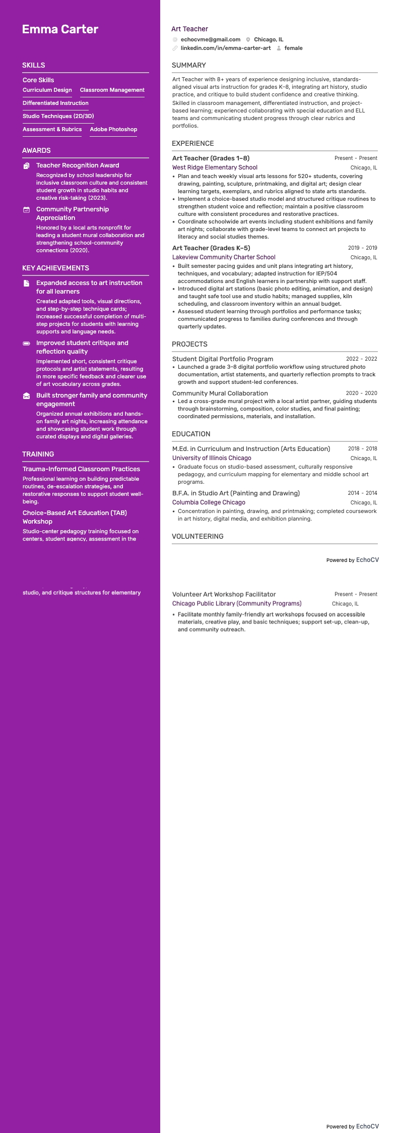 Docent kunst example resume