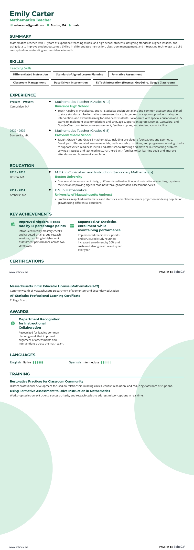 Wiskundeleraar example resume