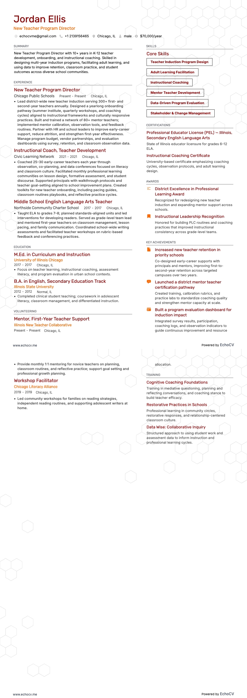 New Teacher Program Director example resume