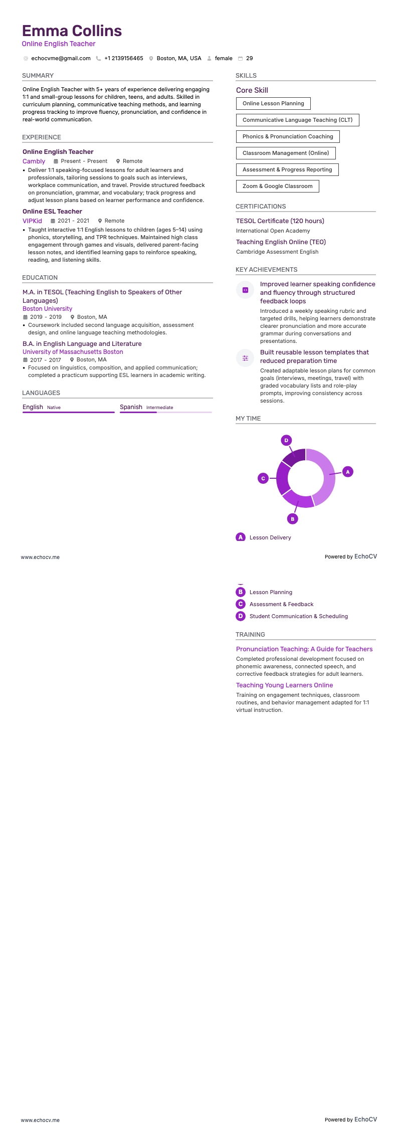 Online docent Engels example resume