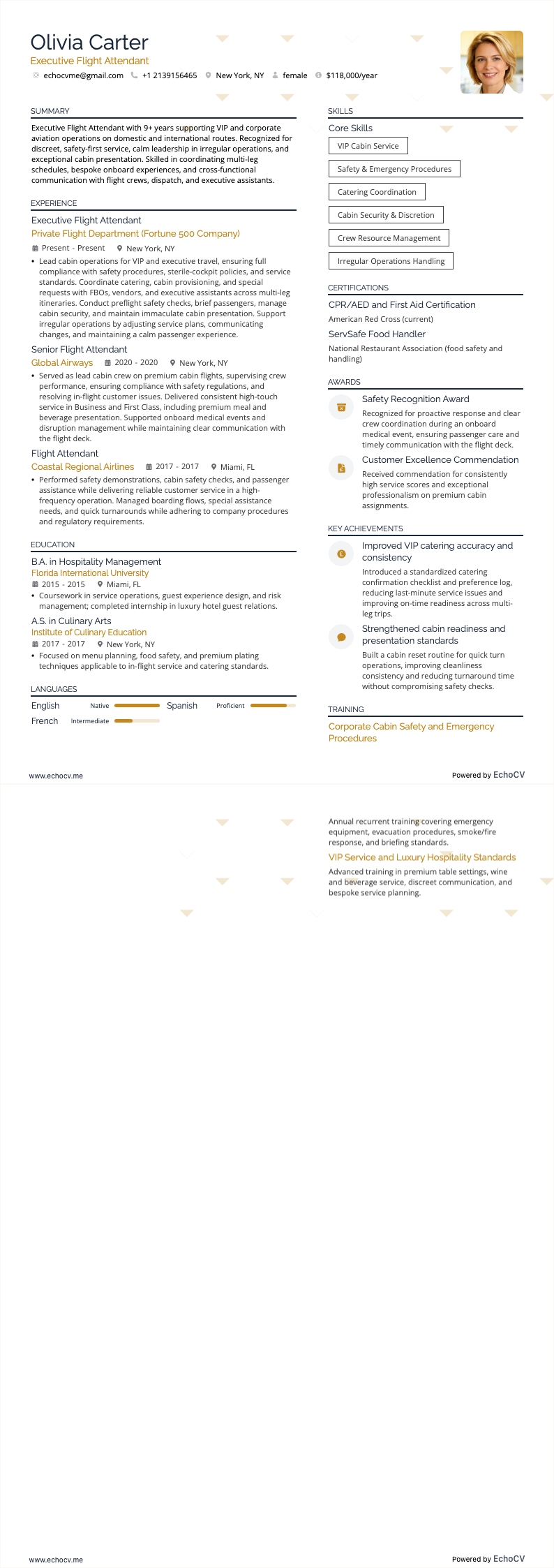 エグゼクティブ向け客室乗務員 example resume