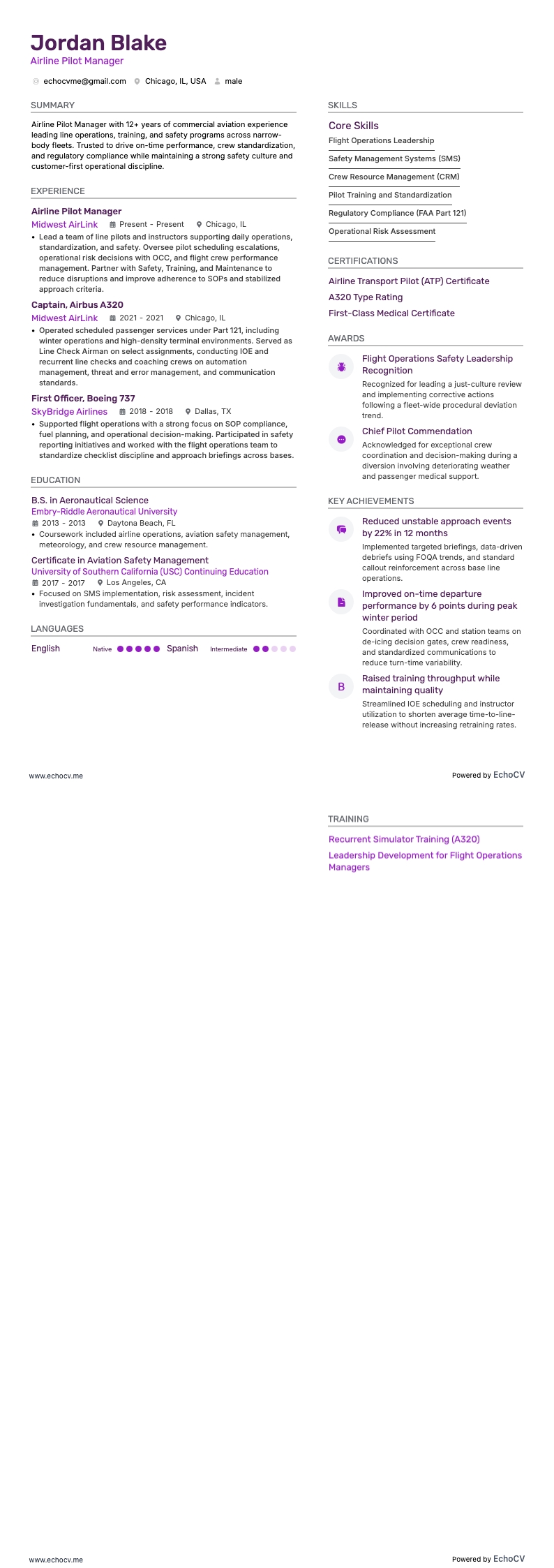 航空会社パイロットマネージャー example resume