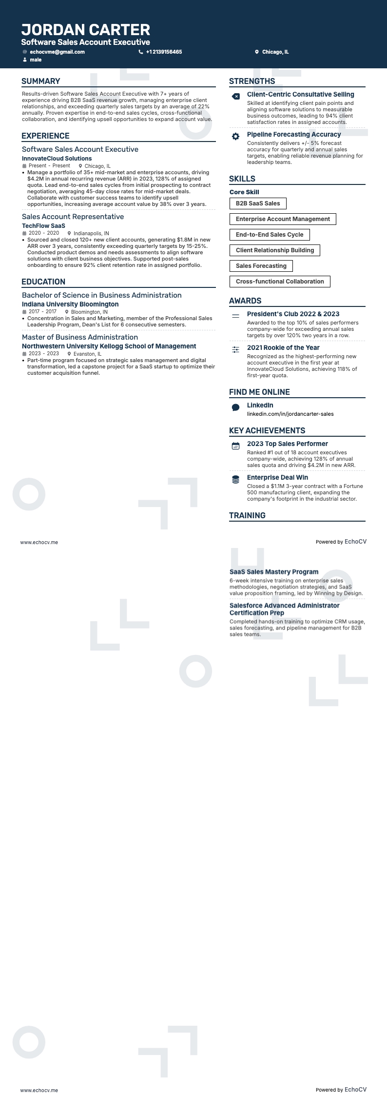 Account Executive für Softwarevertrieb example resume