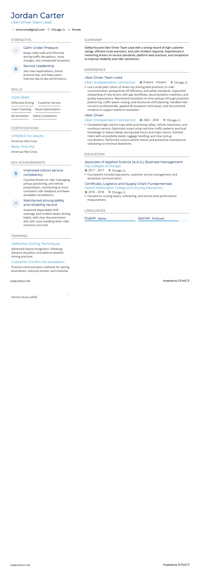 Uber Driver Team Lead example resume