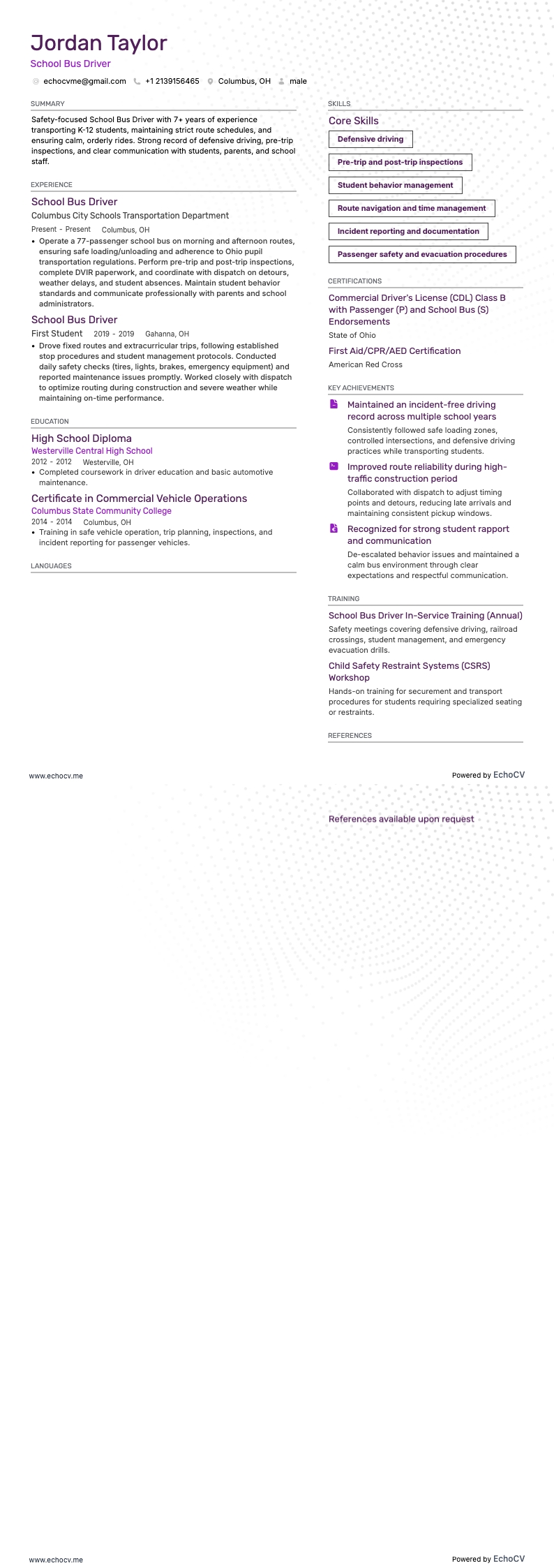 Schoolbuschauffeur example resume