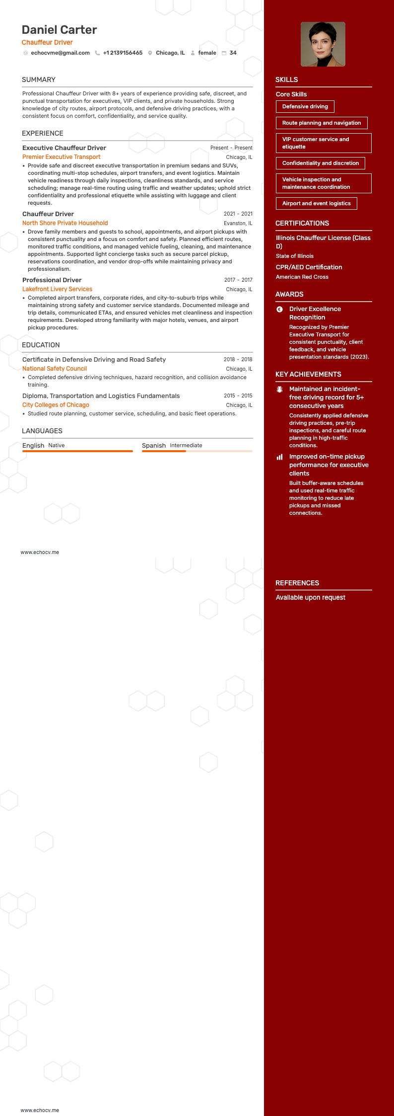 Chauffeur example resume