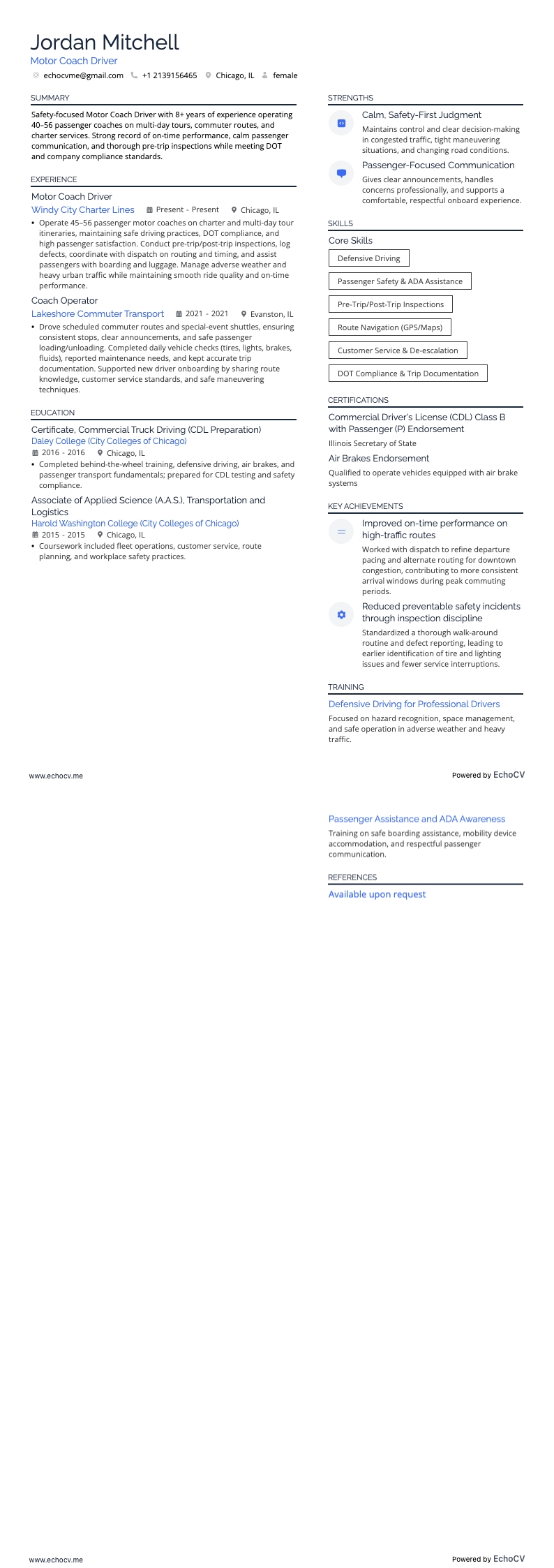 Chauffeur resume example