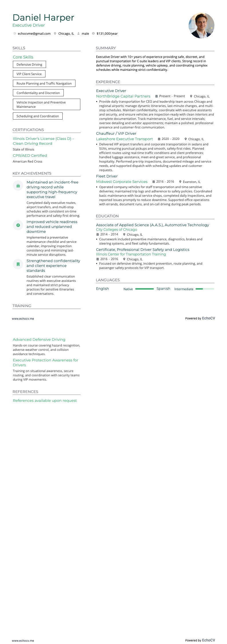 Directiechauffeur example resume