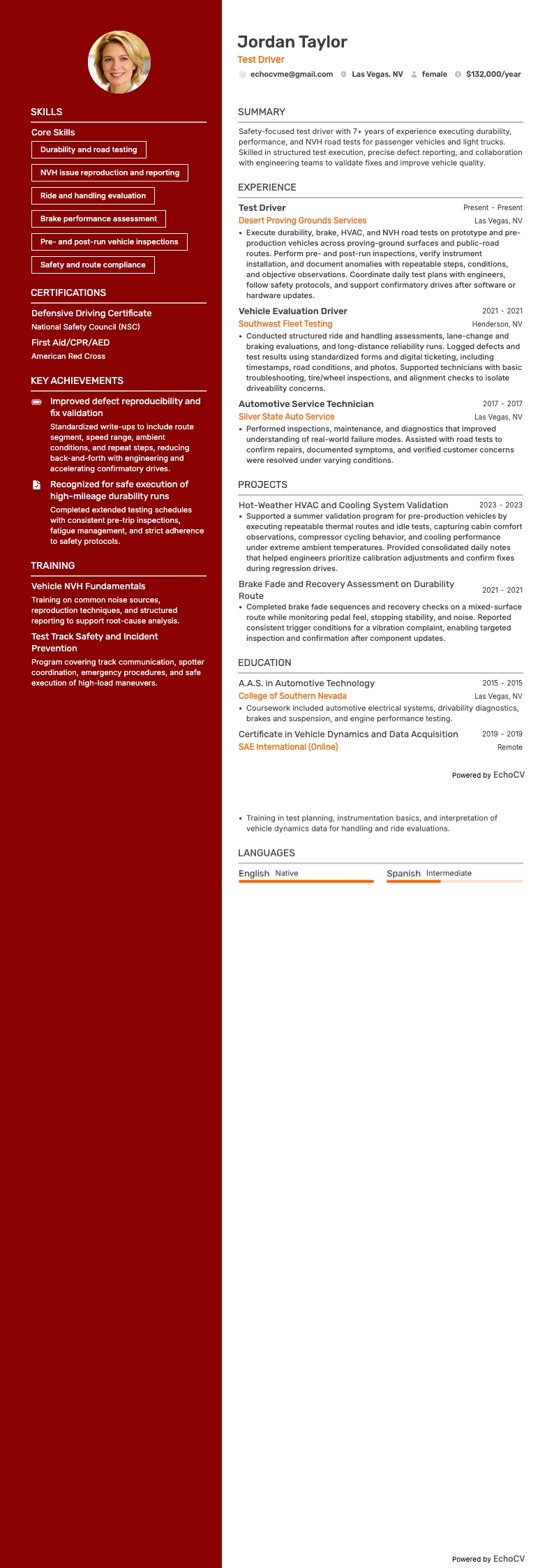 Testchauffeur example resume