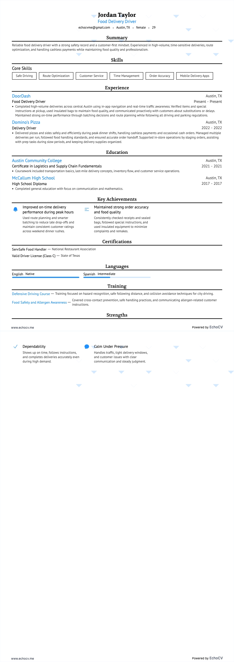 Food Delivery Driver example resume