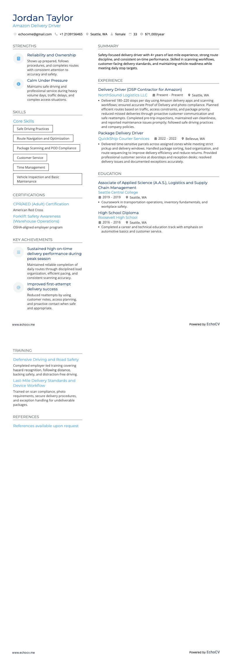 Amazon Delivery Driver example resume