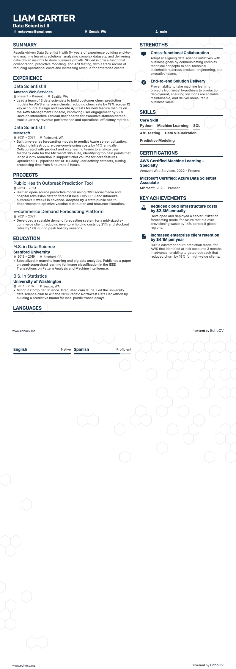 Datenwissenschaftler resume example