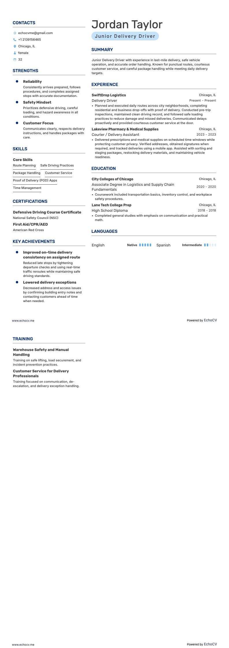 Junior Delivery Driver example resume