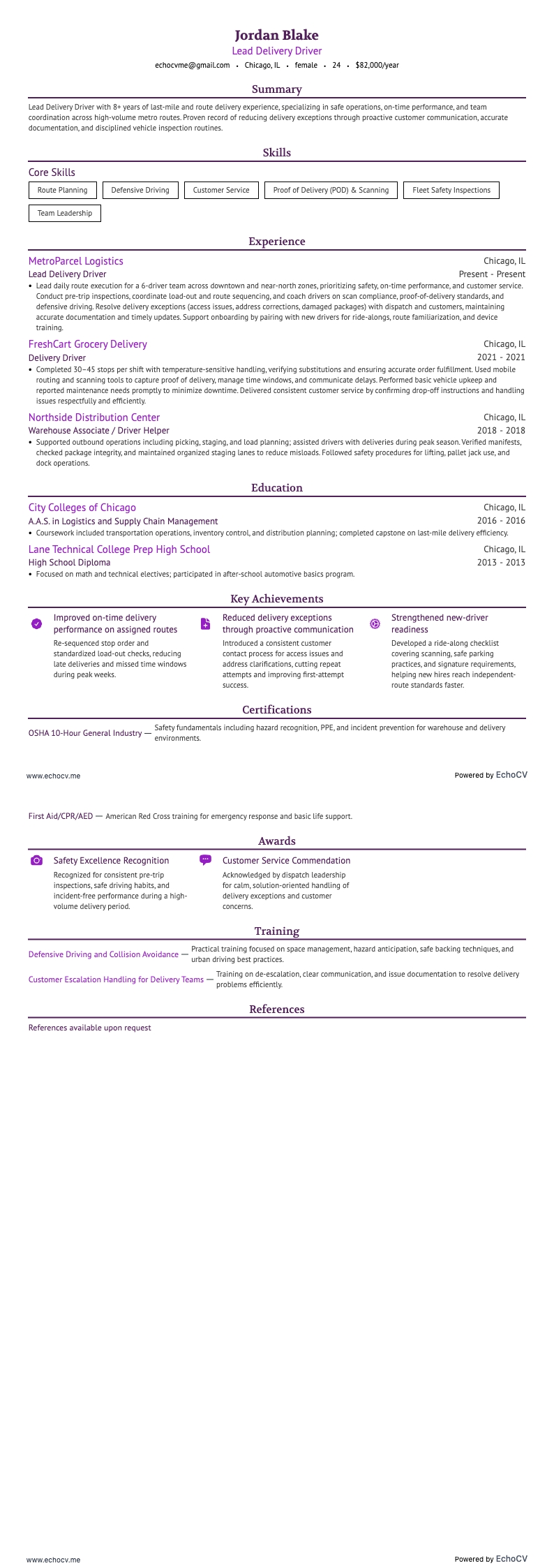Lead Delivery Driver full preview