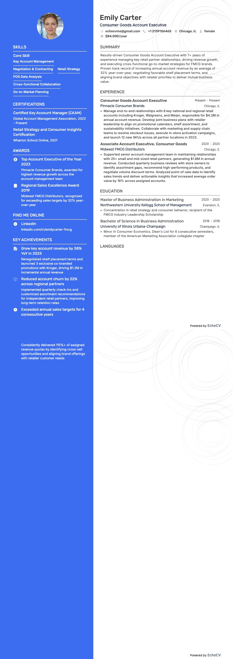 Account Executive Konsumgüter example resume