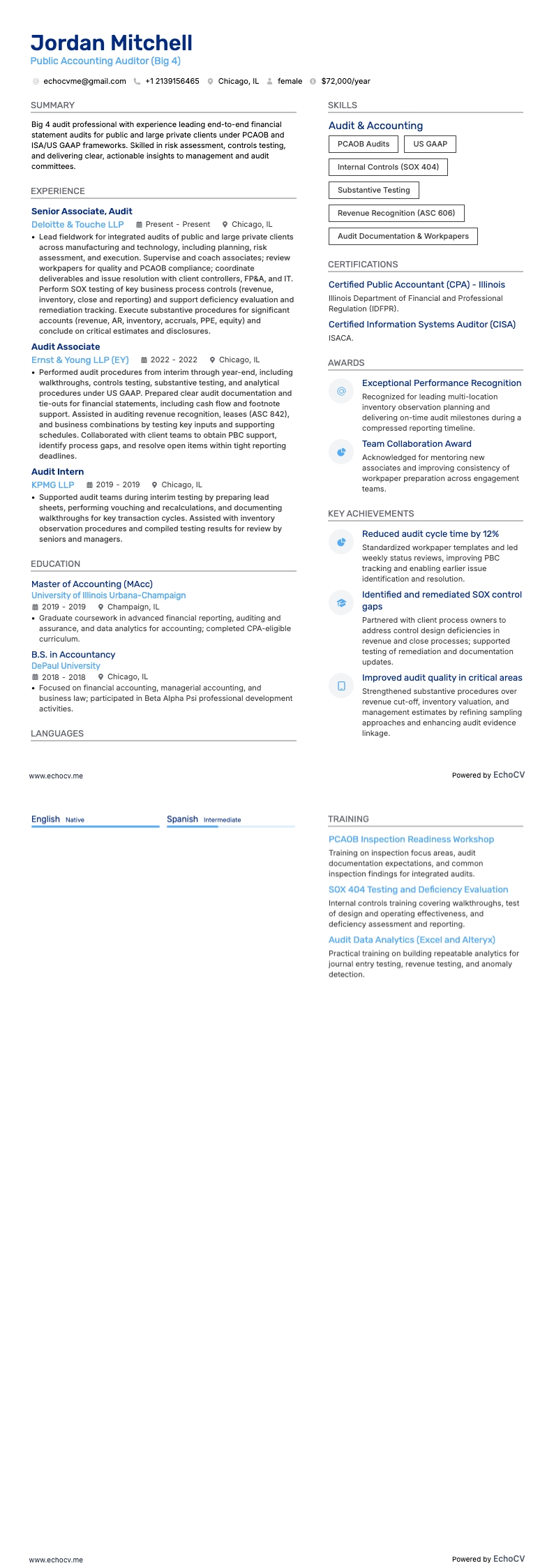 Auditeur en comptabilité publique example resume