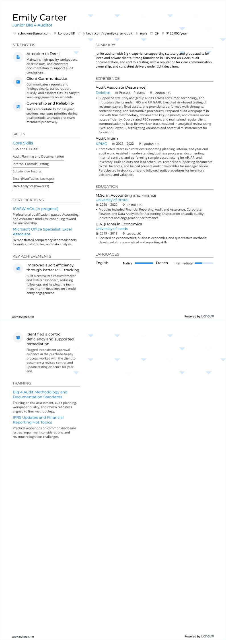 Big 4 감사인 resume example