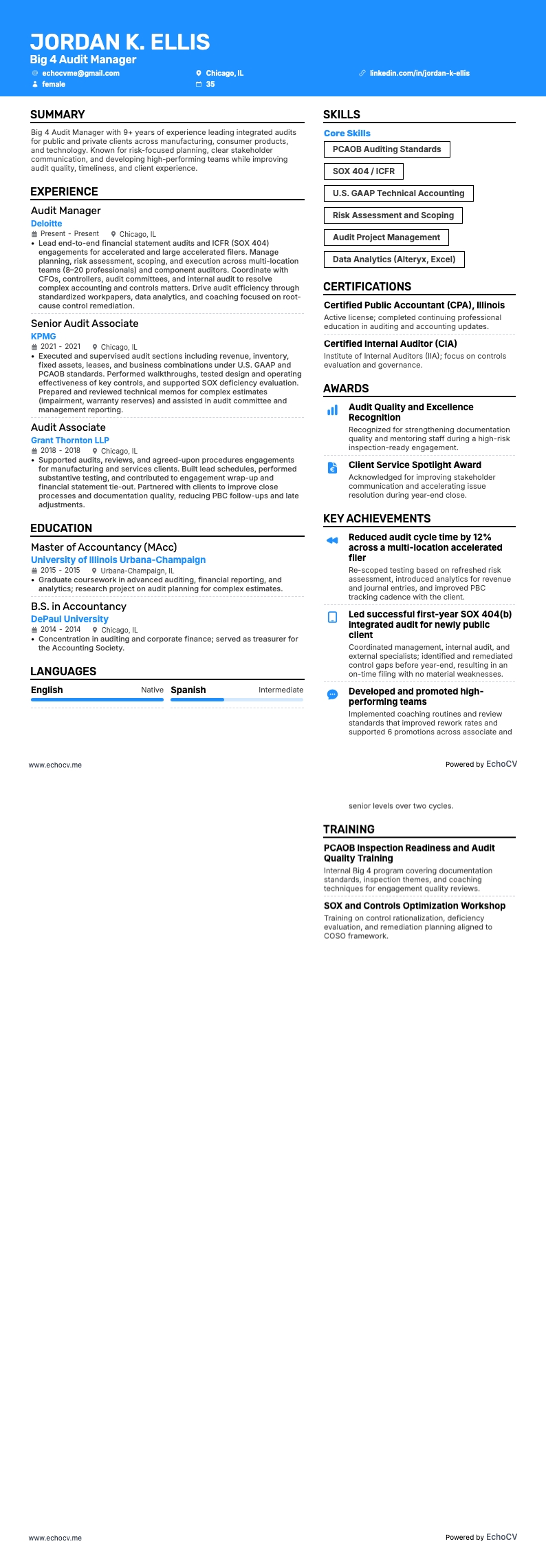 Aperçu complet de Manager Audit Big 4