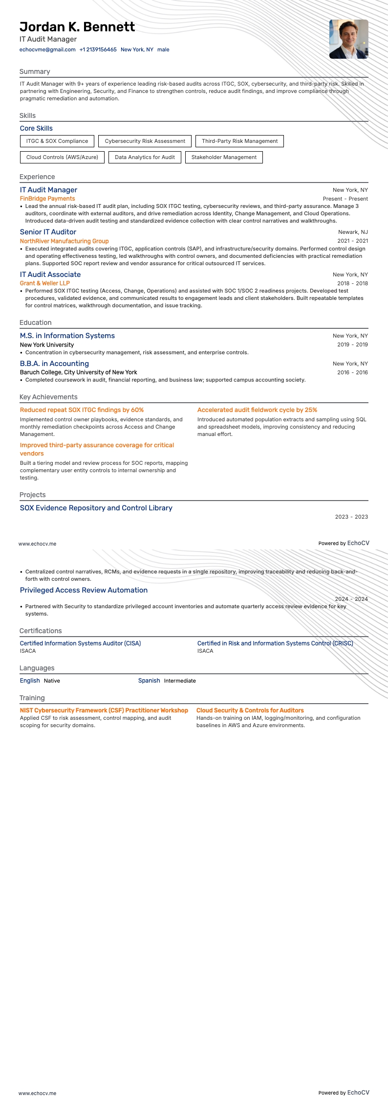 Auditmanager resume example