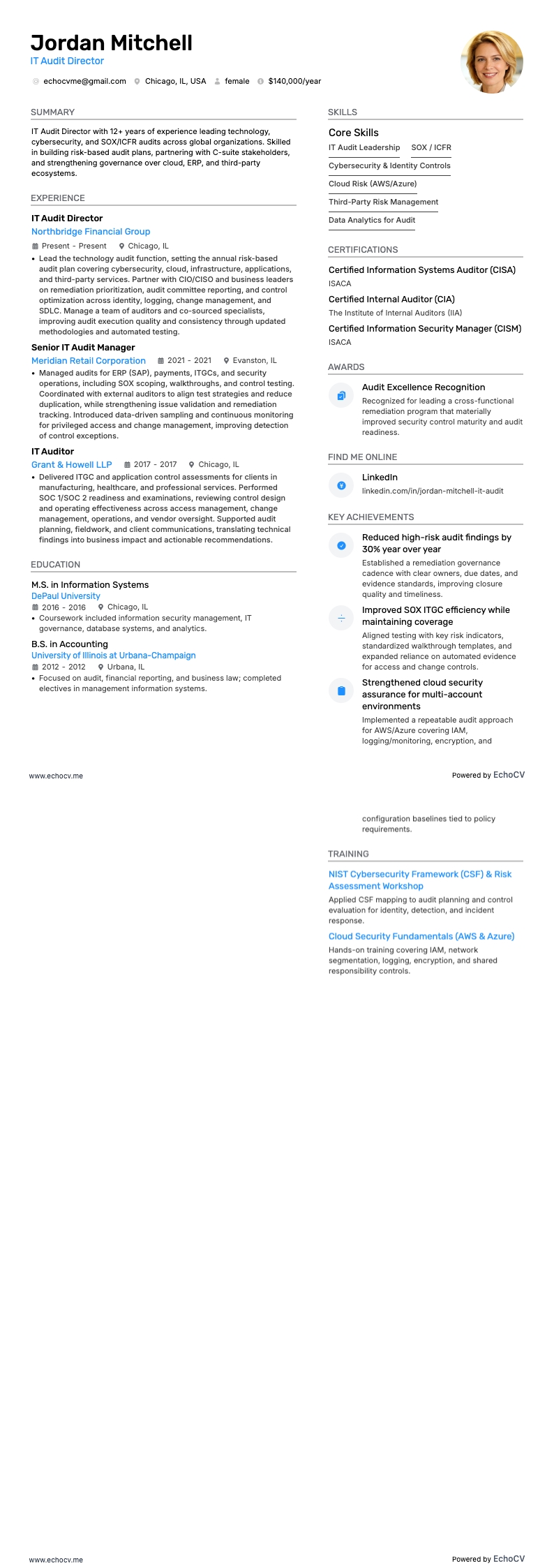 Director de Auditoría de TI example resume