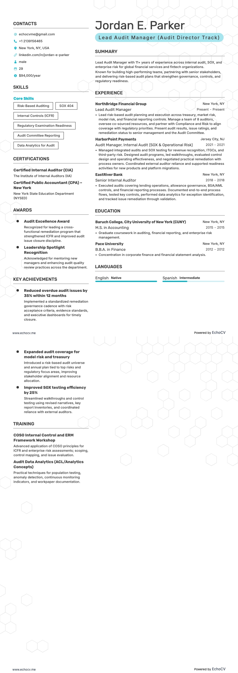 Gerente Principal de Auditoría resume example