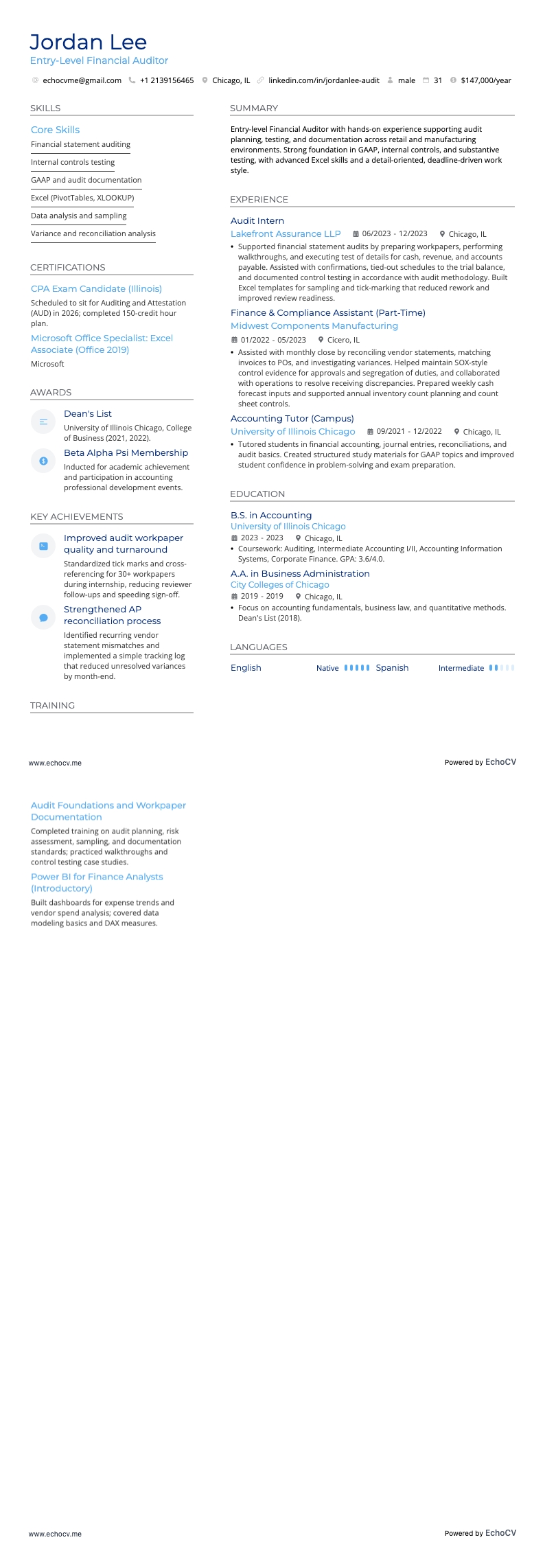 Entry-Level Financial Auditor example resume