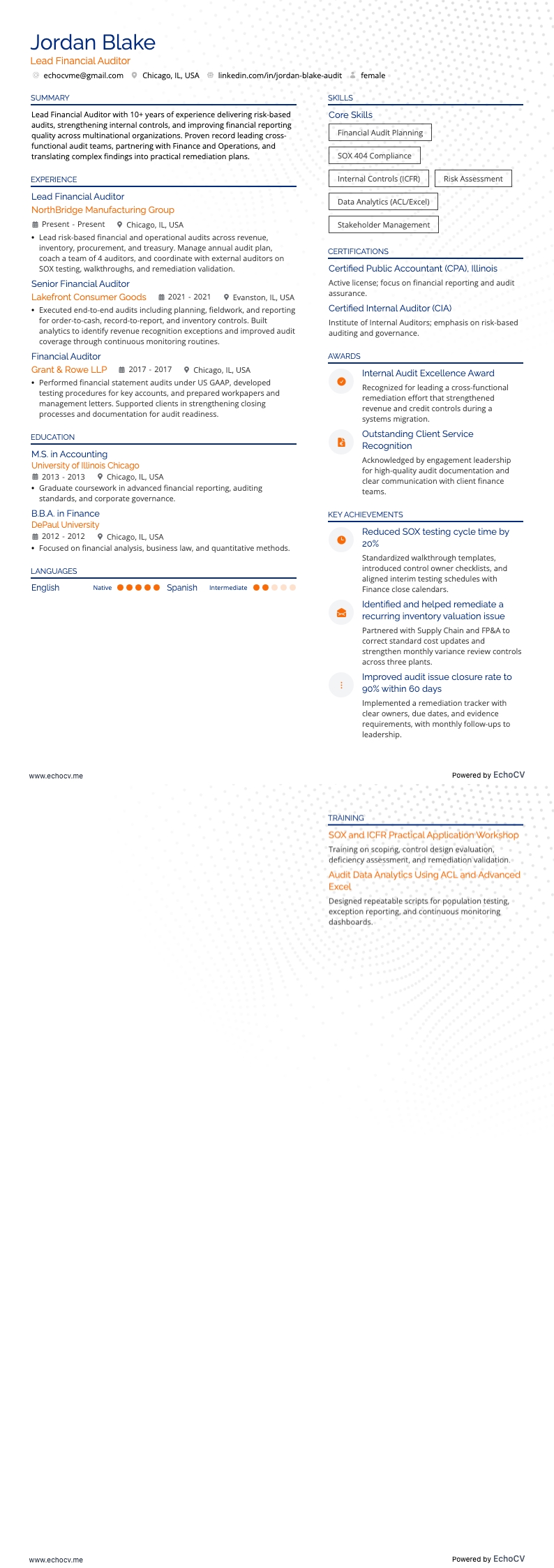 Lead Financial Auditor full preview