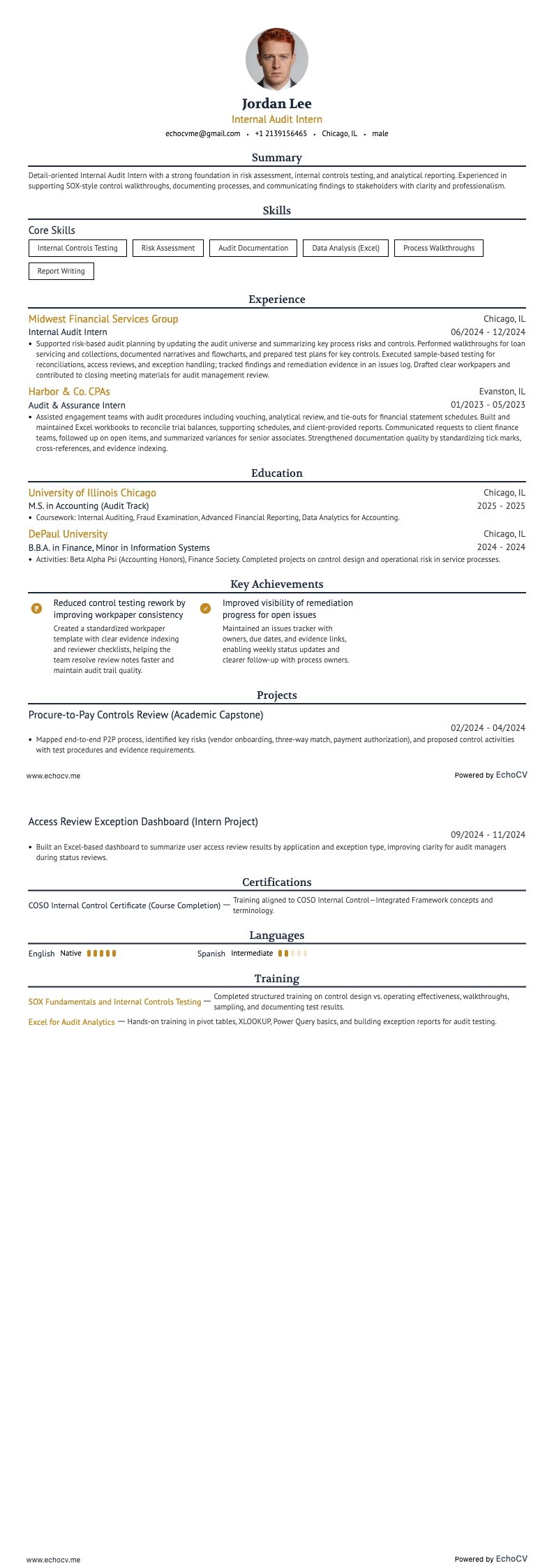 Internal Audit Intern example resume