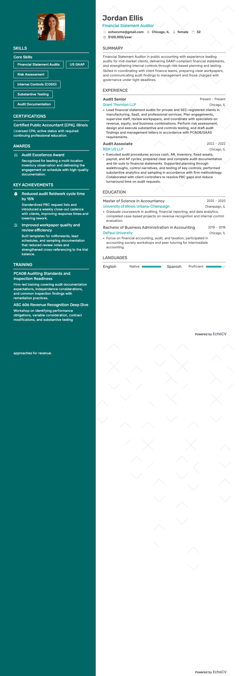 Financial Statement Auditor example resume