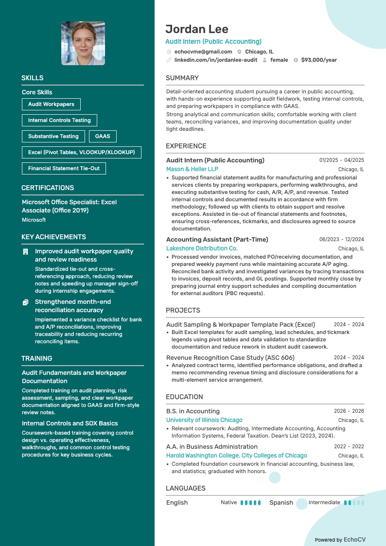 Public Accounting Auditor resume example