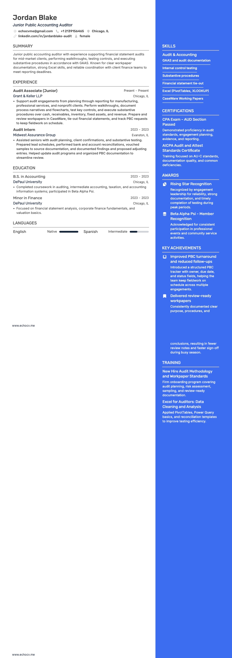 Junior Public Accounting Auditor full preview