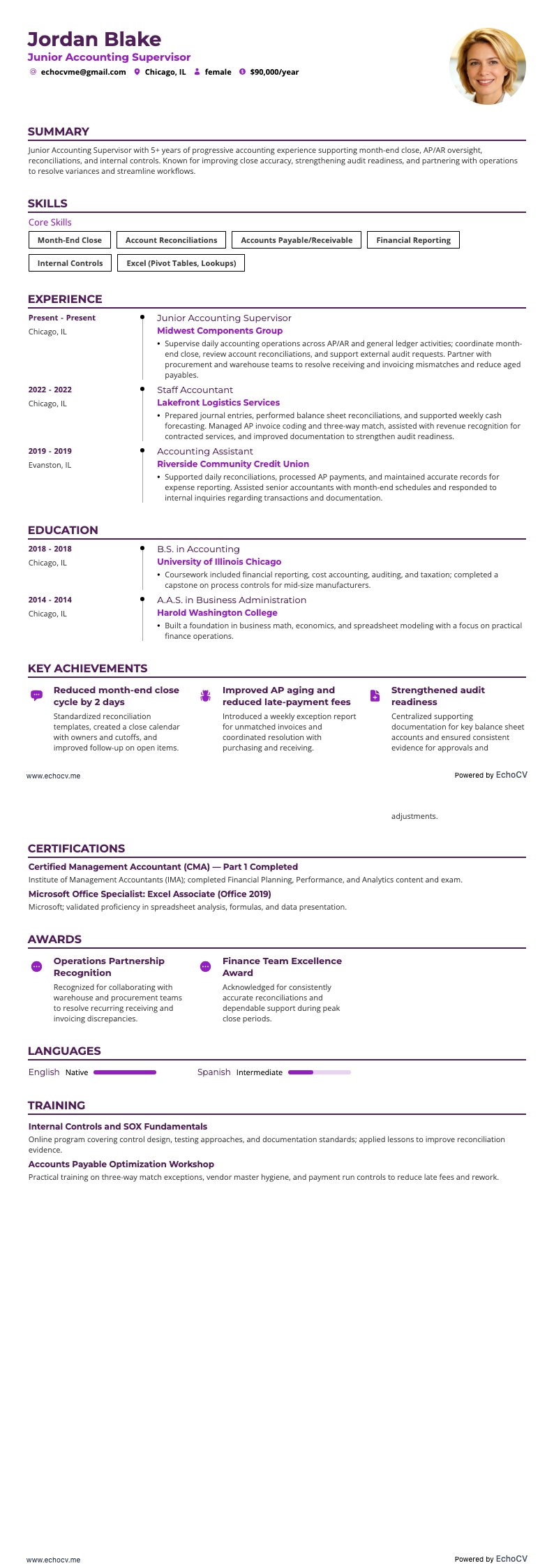 Supervisore contabile resume example
