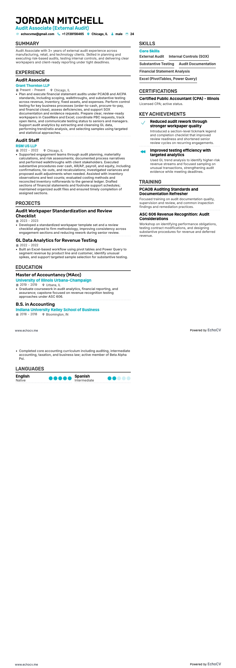 Audit Associate example resume