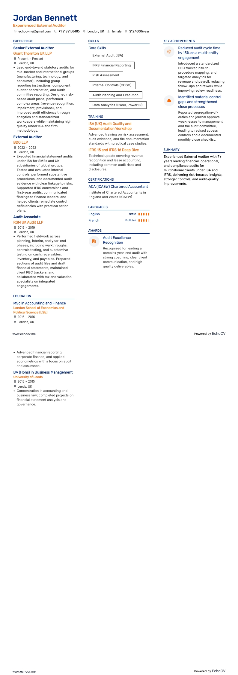 Experienced External Auditor full preview