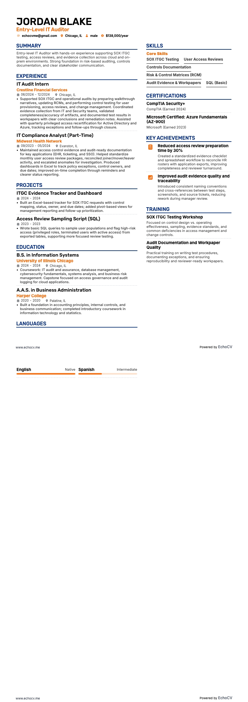 Auditor de TI de nivel inicial example resume